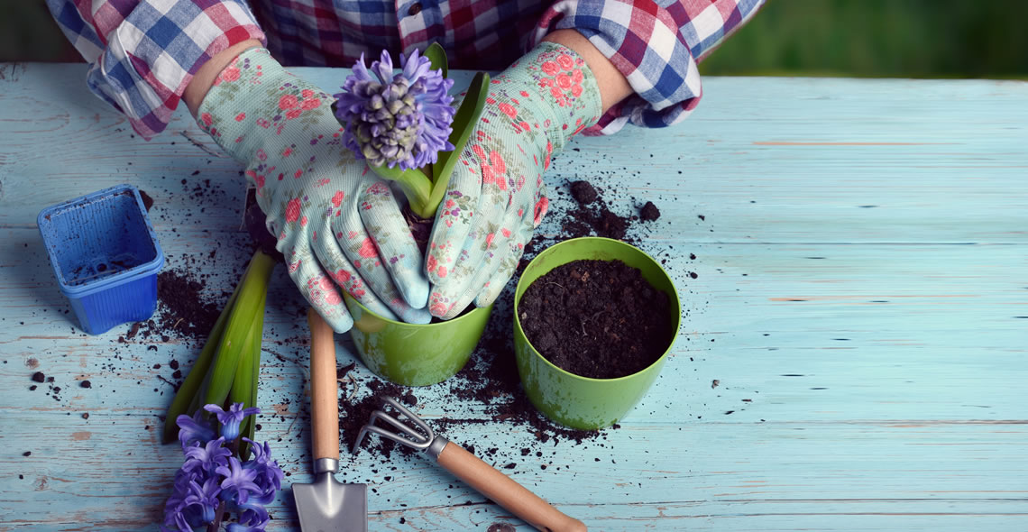 Gardening