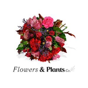 Flowers & Plants Co